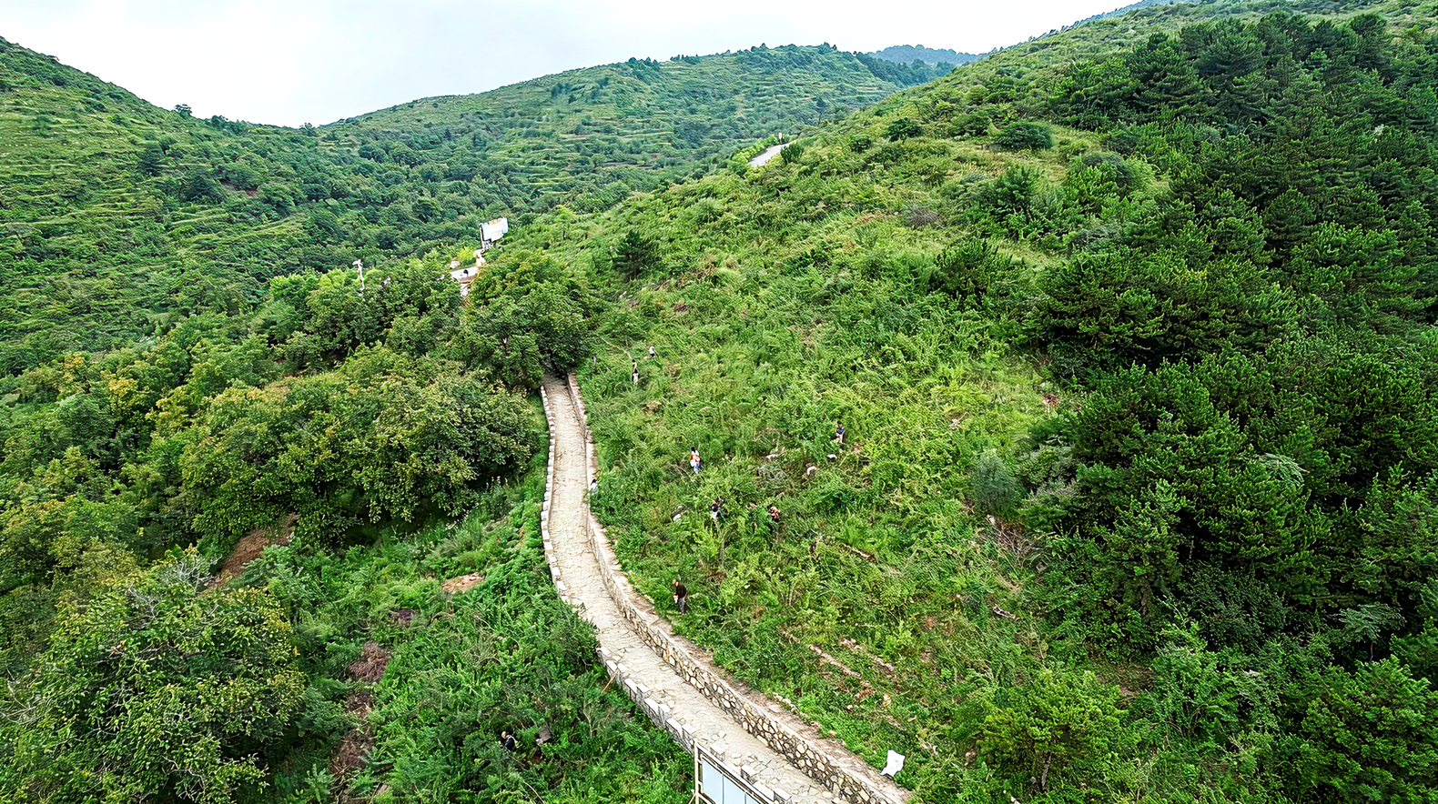 1787046681227588.png 官网1.png